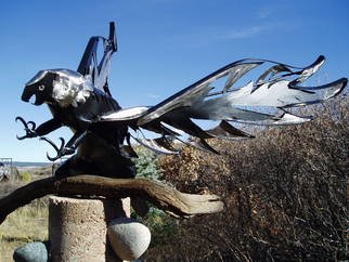 Ivan Kosta; The Eagle Is Landing, 2010, Original Sculpture Steel, 7 x 3 feet. Artwork description: 241  An over - life size bald eagle, fabricated of stainless steel and powder coated steel, with a dramatic display of the typical ferocious look and claws.   ...