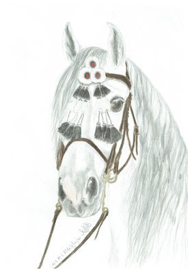 Claudia Luethi Alias Abdelghafar; Andalusian Stallion, 2018, Original Drawing Other, 297 x 420 mm. Artwork description: 241 A wonderful andalusian stallion with his traditional bridle. I love horses and riding horses is a hobby of mine. ...