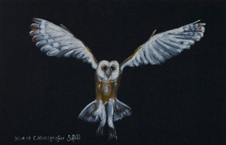 Claudia Luethi Alias Abdelghafar; Barn Owl, 2019, Original Painting, 60 x 40 cm. Artwork description: 241 Who is flying through the night, it is the barn owl and she is looking for something to eat  The size of the painting is without frame 40 x 60 x 2 cm and with frame 43 x 63 x 3 cm, the painting was finished on ...