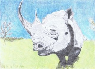 Claudia Luethi Alias Abdelghafar; Impressive Rhino, 2009, Original Drawing Other, 420 x 297 mm. Artwork description: 241 Impressive Rhino just looking at you Drawing with colored pencil on DIN A3 paper...
