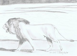 Claudia Luethi Alias Abdelghafar; Lion, 2012, Original Drawing Other, 297 x 210 mm. Artwork description: 241 A lonely lion walking in the hot sun. Drawing with pencil on DIN A4 paper...