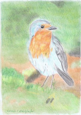 Claudia Luethi Alias Abdelghafar; Red Breast, 2010, Original Drawing Other, 210 x 297 mm. Artwork description: 241 Little nice red breastColored pencil on DIN A4 paper...