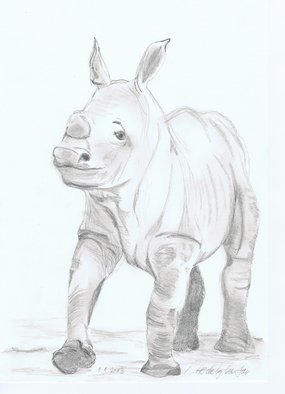 Claudia Luethi Alias Abdelghafar; Sweet Little Rhino Baby, 2013, Original Drawing Other, 210 x 297 mm. Artwork description: 241 Sweet little rhino Baby Drawing with pencil on DIN A4 paper. ...