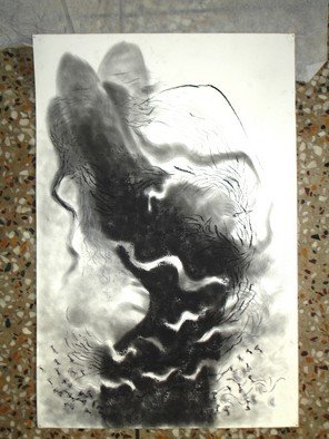Lalit Pant; Nature, 2006, Original Drawing Charcoal, 18 x 30 inches. 