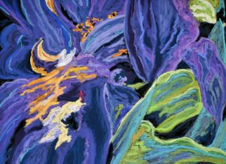 Mary Jane Erard; Blue Iris Series No 3, 2010, Original Pastel, 18 x 23 inches. Artwork description: 241  Abstract floral painting of Iris flower on textured board. Part of series of three paintings. ...