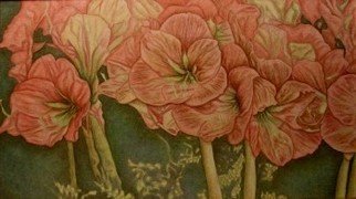 Peggy Thomas Cacalano; Geraniums Up Close, 2009, Original Giclee Reproduction, 24 x 14 inches. Artwork description: 241 painting, acrylic, canvas, floral, geranium, original, art, rose, green...