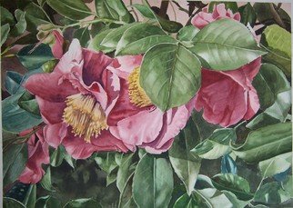 Larry Clark; Blooms, 2017, Original Watercolor, 22 x 16 inches. 