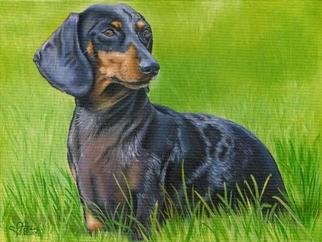 Leanne Wildermuth; Cleo Custom Dog Portrait, 2004, Original Painting Oil, 12 x 9 inches. Artwork description: 241 Custom Dog Portrait Sample...