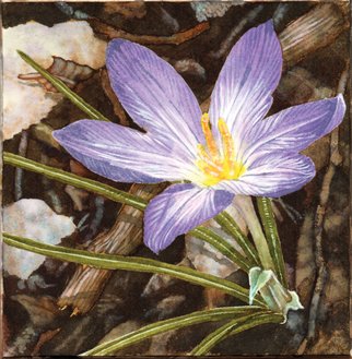 Lisa Pagnutti; Crocus, 2015, Original Watercolor, 12 x 12 cm. Artwork description: 241  Take a look at the beauty inside little things. It comes with a wooden support 25x25 cm ...