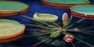 Laurie Pagels; Still Waters, 2010, Original Painting Oil, 24 x 12 inches. Artwork description: 241  Lily pads, red, orange, blue, vibrant, flowers,  ...