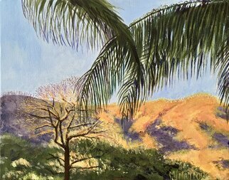 Mary Jean Mailloux; Tropical Sunrise, 2023, Original Painting Acrylic, 10 x 8 inches. Artwork description: 241 Catching the morning sun as it hits the trees and hills surrounding Coco Beach in Costa Rica. ...