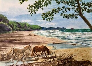 Mary Jean Mailloux; Wild Horses In Limon Prov..., 2024, Original Watercolor, 9 x 12 inches. Artwork description: 241 Two wild horses enjoy the refreshing ocean breezes, while strolling on the sandy shore of Porto Viejo Costa Rica. ...
