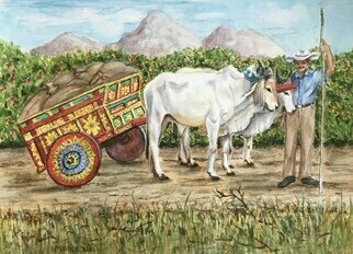 Mary Jean Mailloux; Working Brahmans, 2023, Original Watercolor, 12 x 9 inches. Artwork description: 241 Inspired by the beautiful Brahman and the colourful carts still used in Costa Rica, this piece was commissioned by a client for a friend who had leave this warm and beautiful country ...