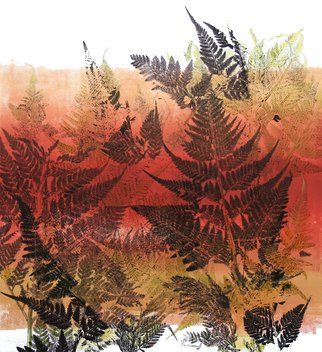 Marisa Keller; Fern Forest, 2007, Original Printmaking Monoprint, 25 x 25 inches. Artwork description: 241  Layers of ferns create a illusion of a fern forest. The plants are printed in negative and positive forms on a warm red/ orange background. ...