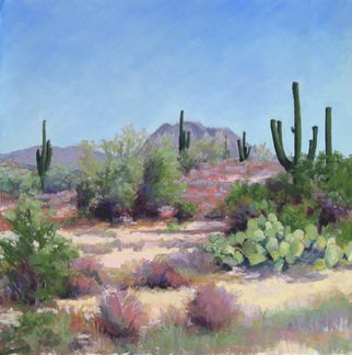 Marsha Savage; Saquaro National Park, 2008, Original Pastel, 16 x 16 inches. Artwork description: 241  This was from a photograph taken near Tucson AZ. ...