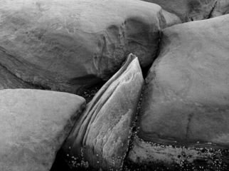 Michael Easton, 'Sandstone, Hornby Island 6', 1994, original Photography Black and White, 22 x 16  x 2 inches. 