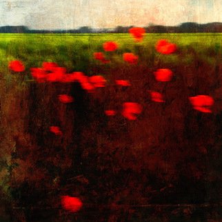 Michael Regnier; Red Poppies, 2008, Original Photography Other, 20 x 20 inches. Artwork description: 241  Prints are archival pigment on acid free cotton rag paper utilizing the latest fine- art digital print making techniques, and printed personally by me. ...