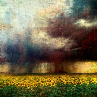 Michael Regnier; Sunflower Storm, 2008, Original Photography Other, 20 x 20 inches. Artwork description: 241  Prints are archival pigment on acid free cotton rag paper utilizing the latest fine- art digital print making techniques, and printed personally by me. ...