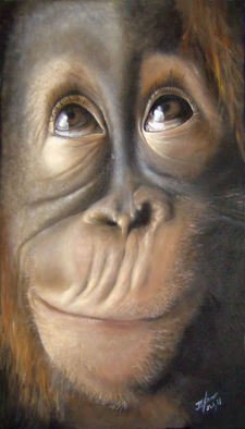 Michelle Iglesias; Charles The Monkey, 2011, Original Painting Oil, 13 x 20 inches. Artwork description: 241  monkey, animal, chimpanzee, cute, baby, curious, thinking, funny, smart, eyes, realism, mouth, nose, close up, orangutan, brown, gray, life like, living, jungle, creature, red hair, hairy face, face, head, wrinkle, expression, looking up, wide open, young, youth, monkeys, primate, rogue, mischievous, zoo, ape, rascal, big nose, big ...