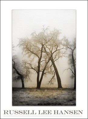 Russell Hansen; Embrace, 2007, Original Photography Color, 11 x 14 inches. Artwork description: 241  Two trees have grown together locked in a natural 