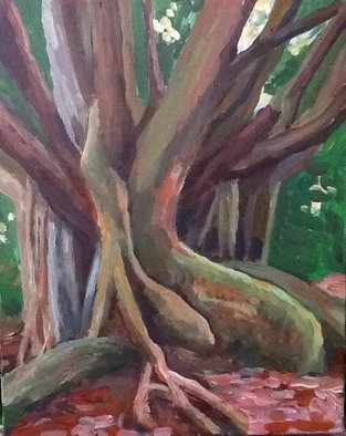 Philip Riley; Banyan Tree, 2022, Original Painting Acrylic, 16 x 20 inches. Artwork description: 241 On- site painting of banyan tree in Hawaii...