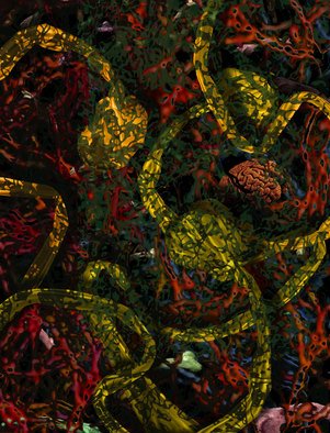 Nancy Ungar; Spinal Trap, 2011, Original Digital Art,   inches. Artwork description: 241  The brain hides behind the colorful monstrosities of its central nervous system. ...