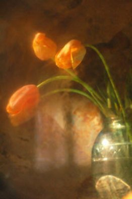 Maria Pia Gatti; Tulips, 2008, Original Digital Art, 50 x 70 cm. 