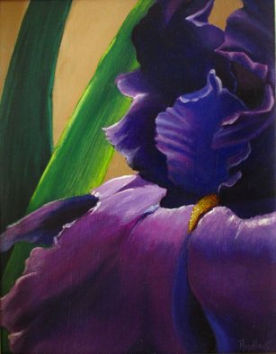 Pat Heydlauff; Purple Velvet Iris, 2011, Original Painting Acrylic, 11 x 14 inches. Artwork description: 241   The purple iris is regal in its royal spring attire at the Wichita Botanic Gardens. You want to just reach out and touch one.   ...