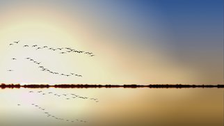 Jean Dominique  Martin; Flying Birds Reflection, 2018, Original Photography Digital, 60 x 40 cm. Artwork description: 241 Kakadu Part North Territory Australia- Flying Birds Sunrise...