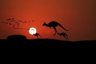 Jean Dominique  Martin; Kangaroo Sunset, 2019, Original Photography Digital, 60 x 40 cm. Artwork description: 241 Australia Ayears Rock Sunset Outback Kangaroo ...