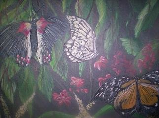 Ramona Marquez Ramraj; Butterflies, Mariposas En..., 2007, Original Painting Acrylic, 16 x 20 inches. 