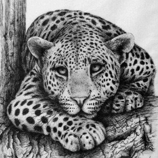 Rens Ink; Leopard, 2008, Original Drawing Pen, 11 x 14 inches. 
