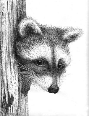 Rens Ink; Racoon, 2008, Original Drawing Pen, 11 x 14 inches. 