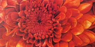 Rossana Currie; Crisantemo, 2011, Original Painting Oil, 48 x 24 inches. 