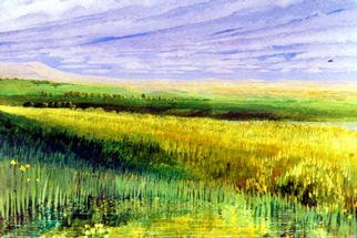 Ron Wilkinson; Sunlight Over The Marshes, 2003, Original Painting Acrylic, 24 x 18 inches. Artwork description: 241 Donated to Redhill Hospital, Surrey. ...