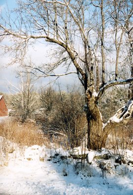 Ruth Zachary; Glorias View, 2012, Original Photography Color, 8 x 10 inches. Artwork description: 241 Winter snow and sky scene, just across from my dear friend Gloria' s house in rural Limerick, Maine.  Larger size available ( 11 x 14, $98) . ...