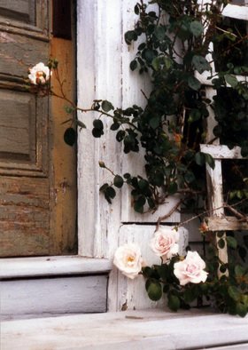 Ruth Zachary; Memorys Roses, 2012, Original Photography Color, 8 x 10 inches. Artwork description: 241 Lush pale pink roses and dark green leaves on wooden trellis, old textured door and steps. Monhegan Island, Maine. Larger size available ( 11 x 14, $98) ....