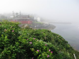 Ruth Zachary; Roses And Red House, 2012, Original Photography Color, 10 x 8 inches. Artwork description: 241 Delicate ragusa roses in the foreground, iconic Red House and ocean all misty in the background. Monhegan Island, Maine. Larger sizes available ( 11 x 14, $98)...