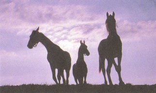 Sandi Carter Brown; Horses Silhouette, 2008, Original Watercolor, 20 x 15 inches. Artwork description: 241               Commissioned art             ...