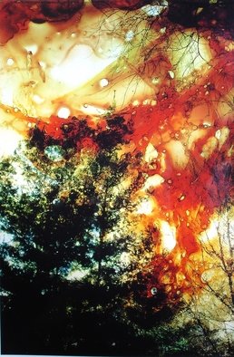S. Josephine Weaver; Wildfire, 2011, Original Mixed Media, 8 x 12 inches. Artwork description: 241       tree, fire, flame, wind                         ...