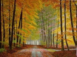 Sergio Zampieri; Autumn Leaves, 2012, Original Painting Oil, 32 x 24 inches. Artwork description: 241    Original oil painting on canvaswood forest trees leaves autumn ...