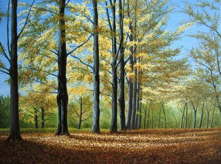 Sergio Zampieri; Autumn Light, 2010, Original Painting Oil, 32 x 24 inches. Artwork description: 241    Original oil painting on canvas tree leaves sky clouds autumn  ...