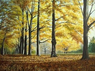 Sergio Zampieri; Autumn Lights, 2011, Original Painting Oil, 32 x 24 inches. Artwork description: 241         Original oil painting on canvasspring yellow flowers field green clouds sky blue leaves autumn trees      ...