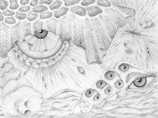 Sharon Ebert; Sea Deep In Wisdom, 2012, Original Drawing Pencil, 12 x 9 inches. Artwork description: 241    Sharon Ebert, sharonscapes, surreal, surrealism, graphite, pencil, eyes, pearls, seashells, visionary, Fiji, South Pacific,  ...