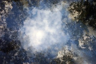 Shelley Catlin; 8 Trees, 2014, Original Photography Digital, 40 x 50 inches. Artwork description: 241    Trees, clouds, multiple exposure, blue sky ...