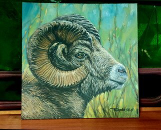 Vector Convert; The Wild Head, 2020, Original Painting Oil, 12 x 12 inches. Artwork description: 241 The Wild Head- Sheep are fairly small compared to other ungulates  in most species, adults weigh less than 100 kg  220 lb . Males are usually heavier than females by a significant amount. Wild sheep are mostly found in hilly or mountainous habitats. ...