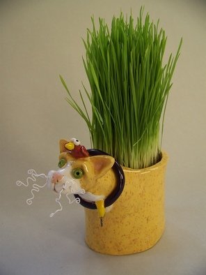 Suzanne Noll; Yellow Ceramic Cat Grass ..., 2011, Original Ceramics Other, 4 x 7 inches. Artwork description: 241         This ceramic cat vase with the bird addition on his head would make a great addition to any cat filled home, giving a little decor to a healthy cat treat. ( Grass Seed Included) . Also good to grow fresh catnip in. The vase is made with high fire, ...