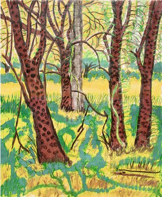 Keith Thrash; Mock Oranges At Noon, 1981, Original Watercolor, 14 x 17 inches. Artwork description: 241  Mock orange grove. ...