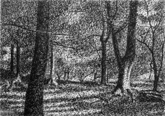 Keith Thrash; Trees In Central Park, 1987, Original Drawing Pen, 4 x 3 inches. Artwork description: 241  Rapidograph ink drawing. ...