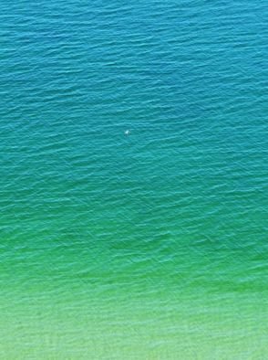 Steve Scarborough; Swim Dot, 2015, Original Photography Digital, 16 x 12 inches. Artwork description: 241  water, swimmer, Lake Michigan ...